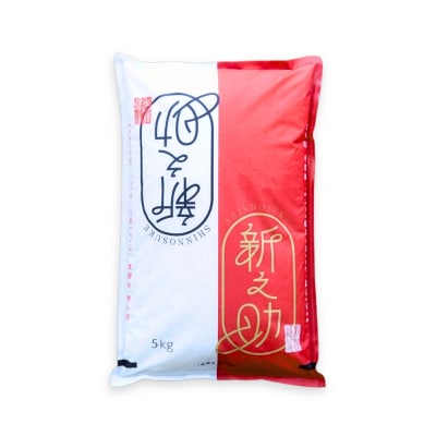先行受付 新潟県三条産新之助 5kg×1袋 令和7年産新之助 精米 新潟県産新之助【017S140】