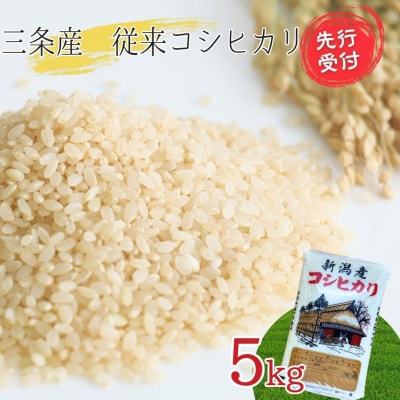 先行受付 新潟県三条産コシヒカリ 従来品種 5kg×1袋 令和7年産 精米 【016S084】