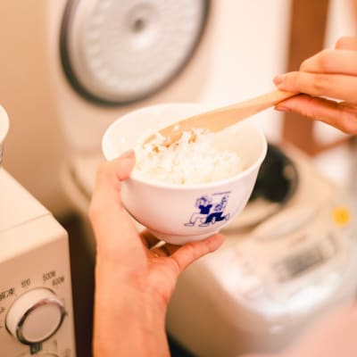 めおと お茶漬け茶碗(フリーク) 麺類 ダブルウォール構造 食洗機・レンジ対応 【018S093】