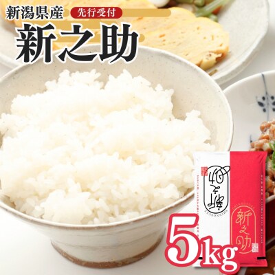 先行受付 新潟県三条産新之助 5kg×1袋 令和8年産新之助 精米 新潟県産新之助【014S148】