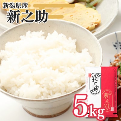 新潟県三条産新之助 5kg×1袋 令和8年産新之助 精米 新潟県産新之助【014S148】