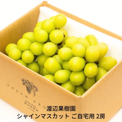 シャインマスカット ご自宅用 2房 令和7年度 渡辺果樹園【014S151】