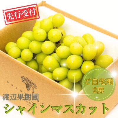 先行受付 シャインマスカット ご自宅用 2房 令和8年度 渡辺果樹園【014S151】