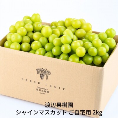 シャインマスカット ご自宅用 2kg 令和7年度 渡辺果樹園【027S040】
