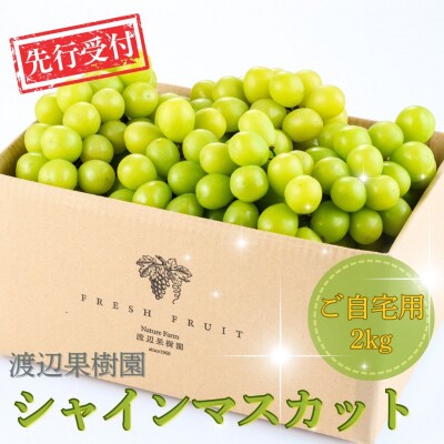 先行受付 シャインマスカット ご自宅用 2kg 令和8年度 渡辺果樹園 【027S040】