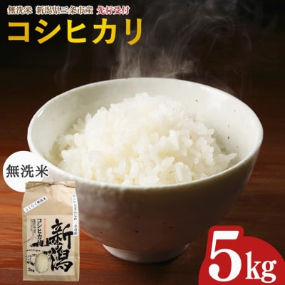 新潟県三条市産 コシヒカリ 無洗米 5kg [グリーンファーム渡前] 【017S142】