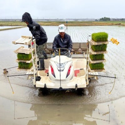 新潟県三条市産 コシヒカリ 無洗米 5kg [グリーンファーム渡前] 【017S142】