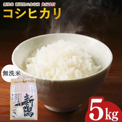 先行受付 新潟県三条市産 自然栽培米コシヒカリ 無洗米 5kg 【018S097】