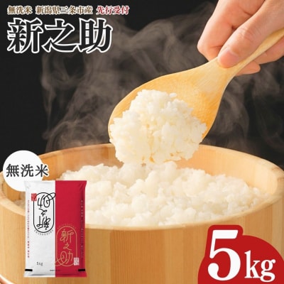 先行受付 新潟県三条市産 新之助 無洗米 5kg [グリーンファーム渡前] 【012S145】