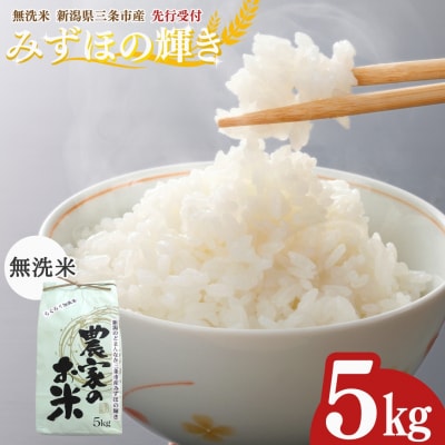 先行受付 新潟県三条市産 みずほの輝き 無洗米 5kg [グリーンファーム渡前] 【015S180】