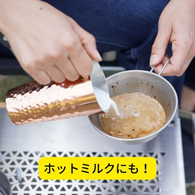 [ベルモント] 銅製チロリ(ミラー仕上) ちろり 酒器 お燗 燗酒 燕三条【015S178】