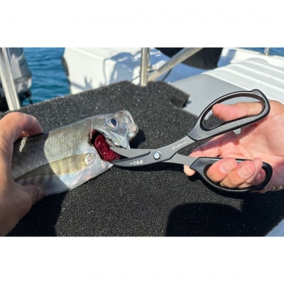 [ベルモント]一刀両断ハサミ-ikejime 魚 締め 捌き フッ素加工 【010S761】