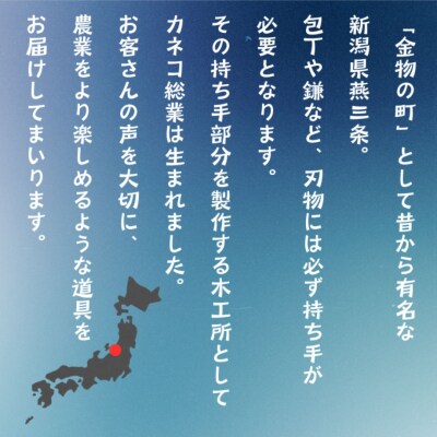 CAN・ECOまな板M型・S型セット まな板 まないた カッティングボード 日本製【012S147】
