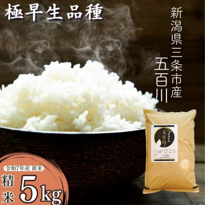 新米 [極早生] 新潟県三条市産五百川 5kg 令和7年産 精米 [外山敏雄商店]【015S191】