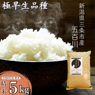 先行受付 極早生 新潟県三条市産五百川 5kg 令和8年産 精米 [外山敏雄商店]【015S191】