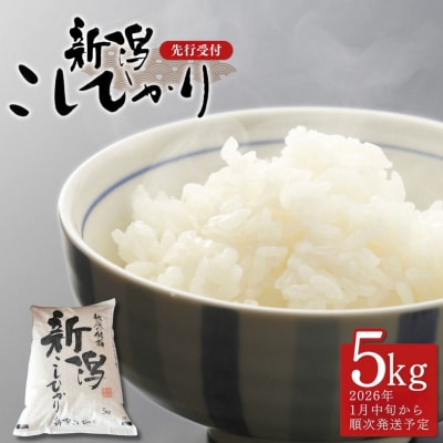先行受付 コシヒカリ 5kg 新潟県産 [1月中旬から順次発送予定] 令和7年産【014S147】