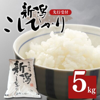 先行受付 コシヒカリ 5kg 新潟県産 [1月中旬から順次発送予定] 2026年産【014S147】