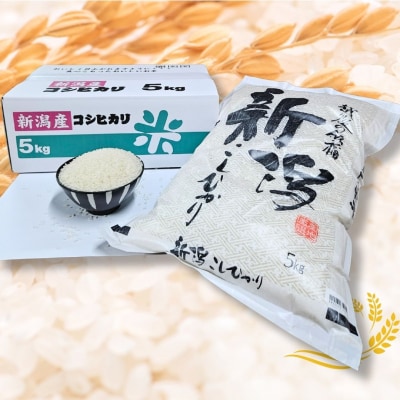 先行受付 コシヒカリ 5kg 新潟県産 [1月中旬から順次発送予定] 令和7年産【014S147】