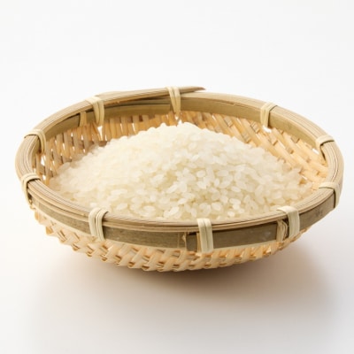 新潟県産新之助5kg 令和7年産 2025年産 [飯塚農園] 【014S157】