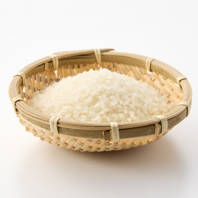 先行受付 新潟県産新之助5kg 令和8年産 2026年産 [飯塚農園] 【014S157】