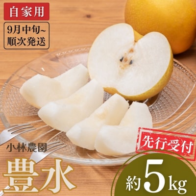 先行受付 和梨 豊水 自家用 約5kg 9月中旬から発送予定 小林農園 【010P072】