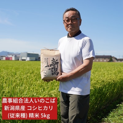 先行受付 新潟県三条市産 コシヒカリ(従来種) 精米 5kg 令和7年産 【015S196】