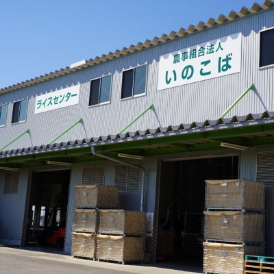 新潟県三条市産 コシヒカリ(従来種) 精米 5kg 新米 令和8年産 【015S196】