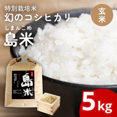 新米 新潟県特別栽培米 コシヒカリ5kg 玄米「島米(しまんこめ)」令和7年産 【015S197】