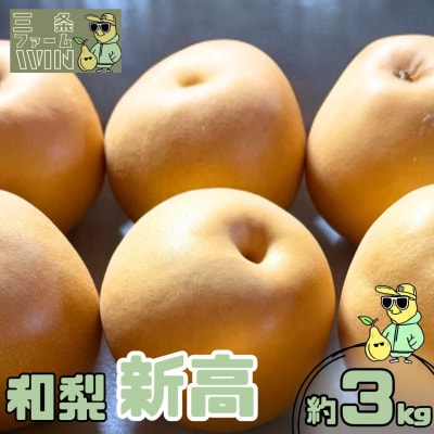 和梨 新高 約3kg 秀品 令和8年度 [三条ファームWIN] 【010S822】