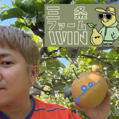 和梨 新高 約3kg 秀品 令和8年度 [三条ファームWIN] 【010S822】