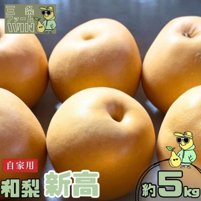 和梨 新高 自家用 約5kg 令和8年度 [三条ファームWIN] 【010S839】
