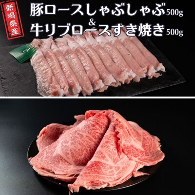 豚ロースしゃぶしゃぶ500g&牛リブロースすき焼き500g 熟成 冷凍 [庄栄]【031S032】