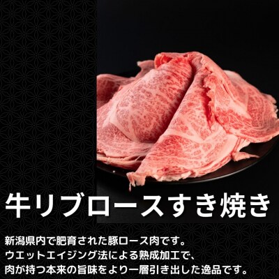 豚ロースしゃぶしゃぶ500g&牛リブロースすき焼き500g 熟成 冷凍 [庄栄]【031S032】