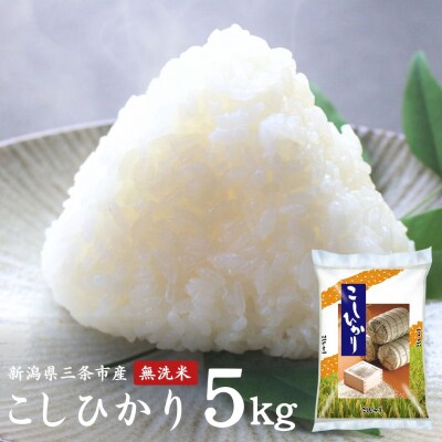 無洗米 コシヒカリ 5kg 新潟県三条市産 令和7年産 [外山敏雄商店]【017S152】