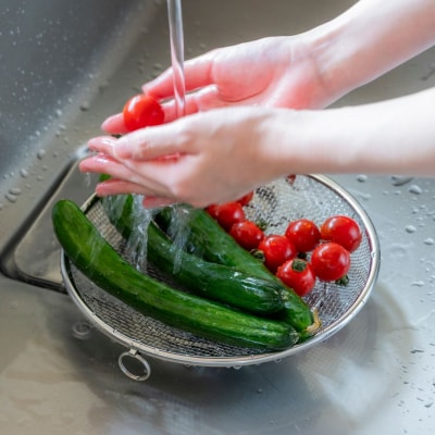 すっきり暮らす盆ざる22cm 持ち上げフック付き 燕三条製 ビーワーススタイル 【010S834】