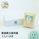新潟県産こしいぶき 10kg 【032S041】