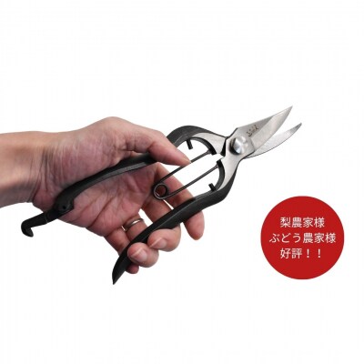 [山人] 打物 剪定芽切鋏(金止式)  せん定 プロ仕様 園芸 盆栽 庭木 庭仕事 037S051
