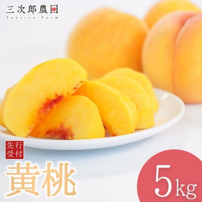先行受付 黄桃 約5kg 令和8年度 贈答用 新潟県三条市産 桃 黄桃 三次郎農園【026S052】