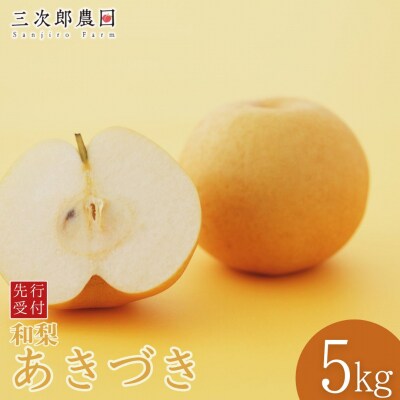 先行受付 和梨 あきづき 約5kg 令和8年度 新潟県三条市産 三次郎農園 【015S204】