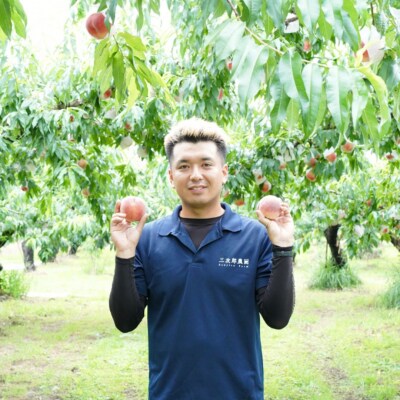 先行受付 和梨 あきづき 約5kg 令和8年度 新潟県三条市産 三次郎農園 【015S204】