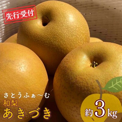 先行受付 和梨 あきづき 約3kg 令和8年度 新潟県産 梨 [さとうふぁ～む] 【010S861】