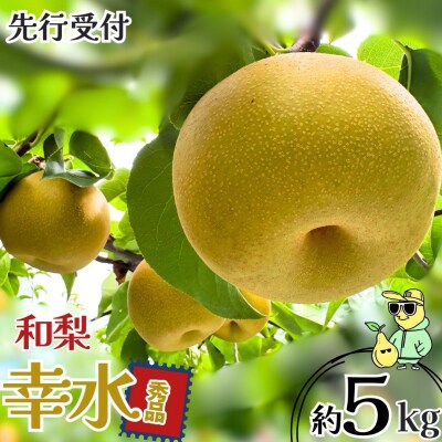 先行受付 和梨 幸水 約5kg 秀品 令和8年度 【018S108】
