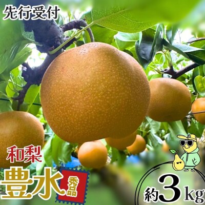 先行受付 和梨 豊水 約3kg 秀品 令和8年度【010S863】