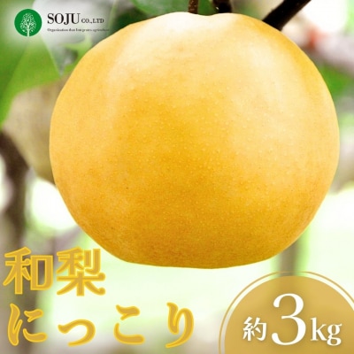 和梨 にっこり 約3kg 令和7年度 にっこり梨 贈答用 [三条果樹専門家集団] 【010S868】