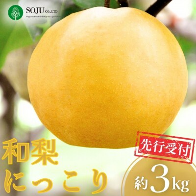 先行受付 和梨 にっこり 約3kg 令和8年度 にっこり梨 [三条果樹専門家集団]【010S868】