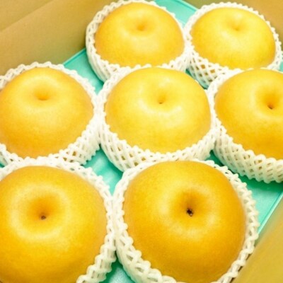 先行受付 和梨 にっこり 約3kg 令和8年度 にっこり梨 [三条果樹専門家集団]【010S868】