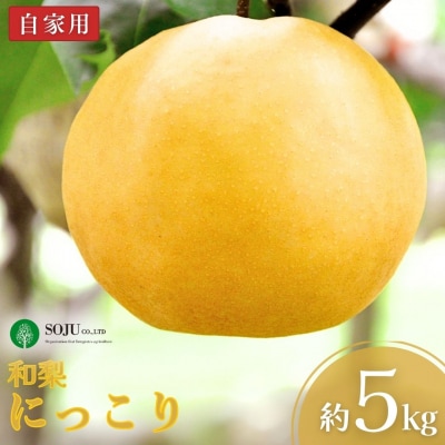 和梨 にっこり 自家用 約5kg 令和7年度 にっこり梨  [三条果樹専門家集団]【010S869】