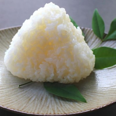 [定期便5kg×3カ月] 無洗米こしいぶき 計15kg 新潟県産 令和7年産【035S035】