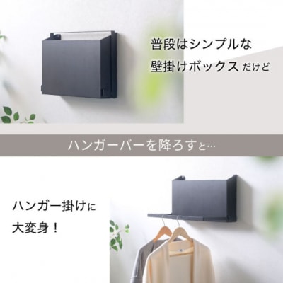 壁掛けハンガーボックス ブラック SE-246 日本製 燕三条 玄関収納 川口工器【028S050】