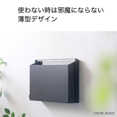 壁掛けハンガーボックス ホワイト SE-250 日本製 燕三条 玄関収納 川口工器【028S051】